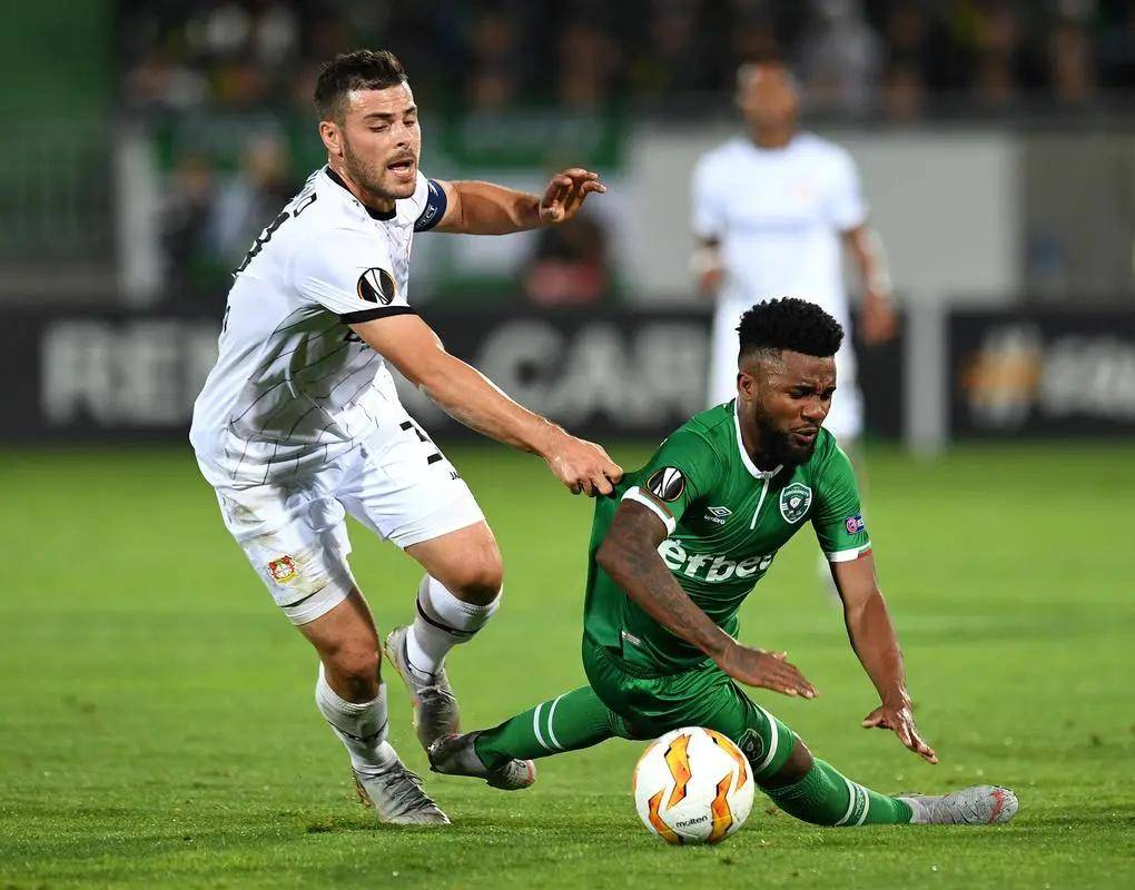 主教练雷迪 主教练雷迪