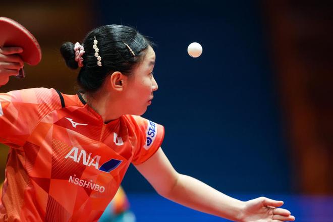 尊重所有运 尊重所有运